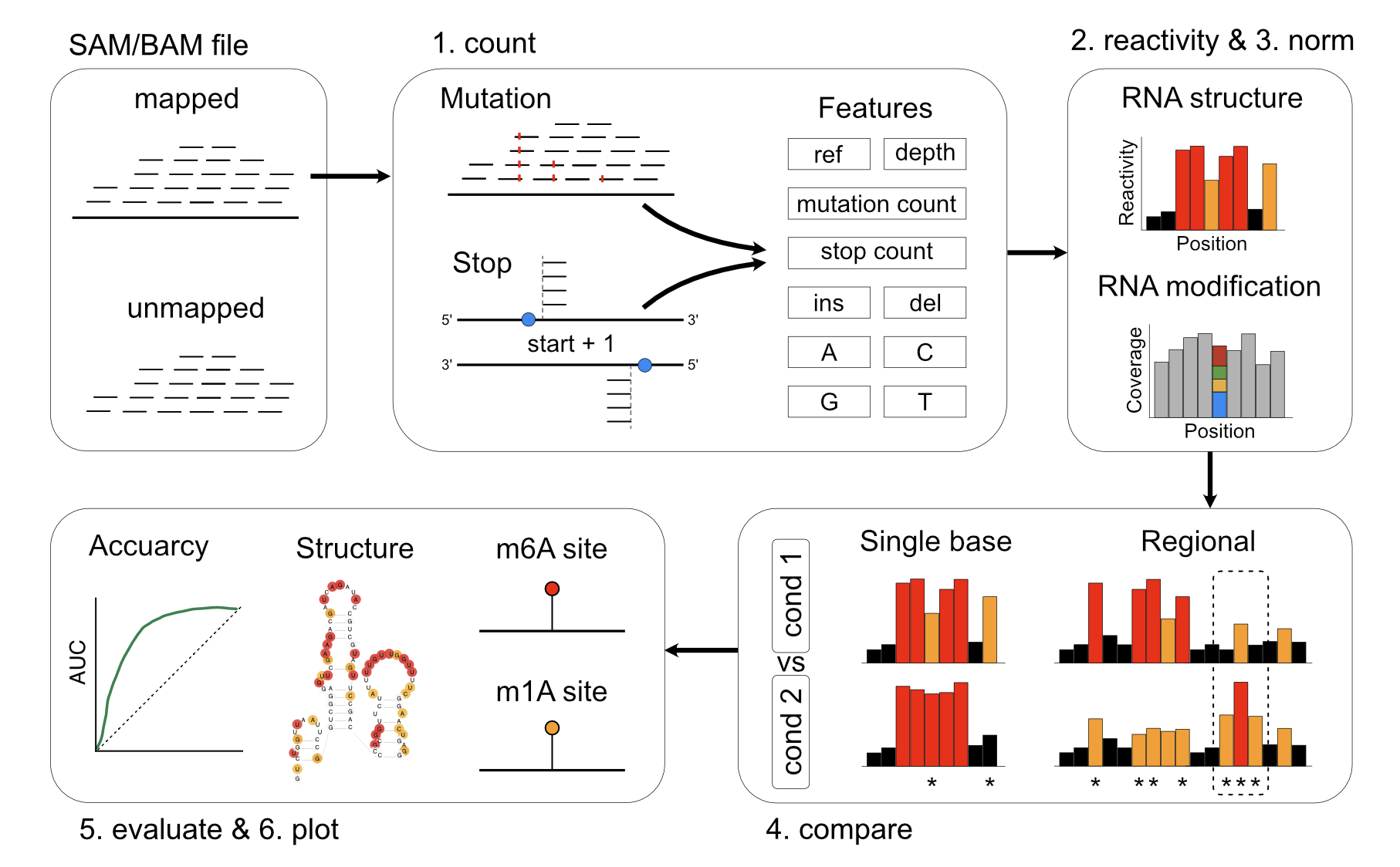 Workflow Diagram